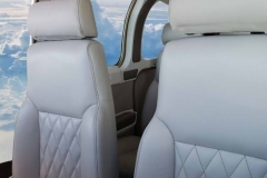 Bonanza Pilot and Co-Pilot
