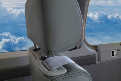 Bonanza Head Rest